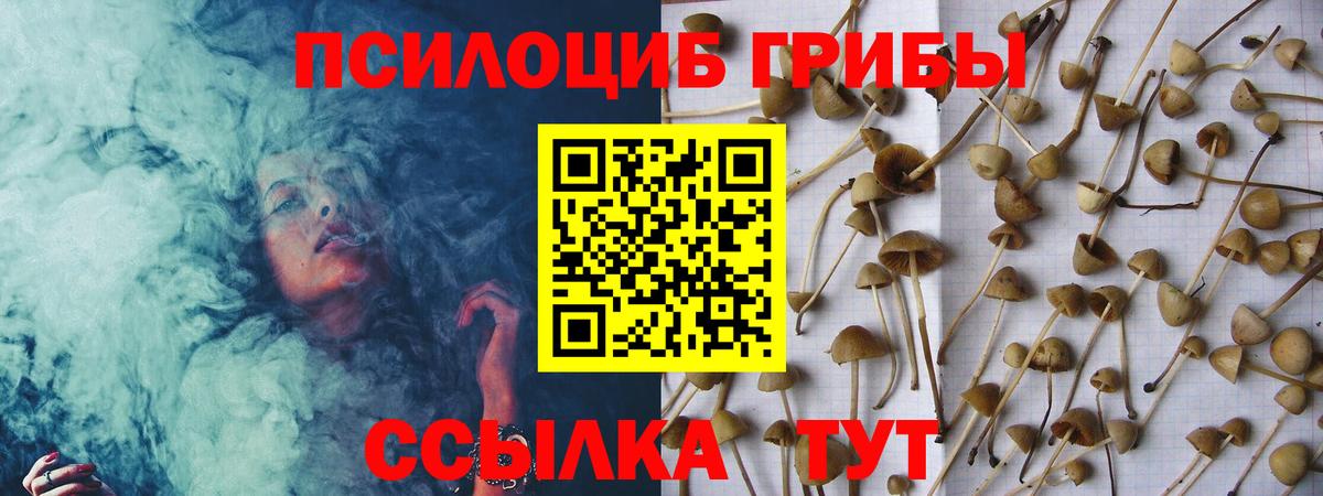 Псилоцибиновые грибы MAGIC MUSHROOMS  магазин    Псилоцибиновые грибы GOLDEN TEACHER  Тайшет  Вход с VPN 