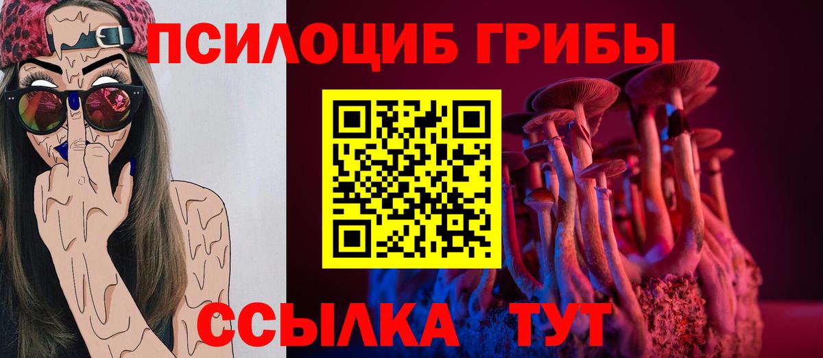 Галлюциногенные грибы GOLDEN TEACHER Тайшет