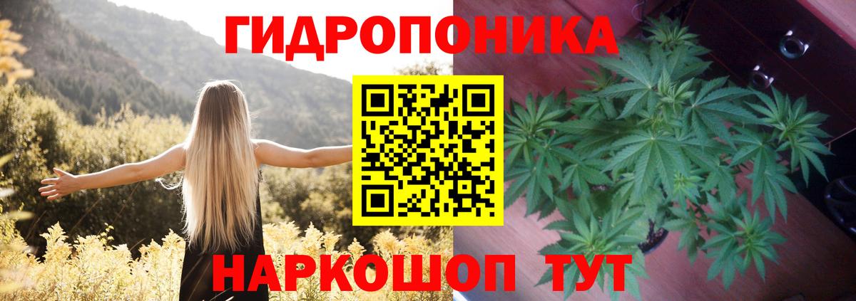 Тайшет  Конопля VHQ  Бошки Шишки MAZAR  Вход с VPN  Шишки марихуана SATIVA & INDICA  Бошки марихуана SATIVA & INDICA 